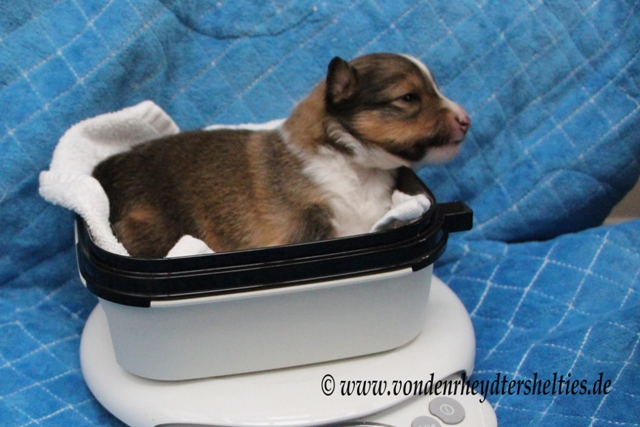 Bewegen soll ich mich