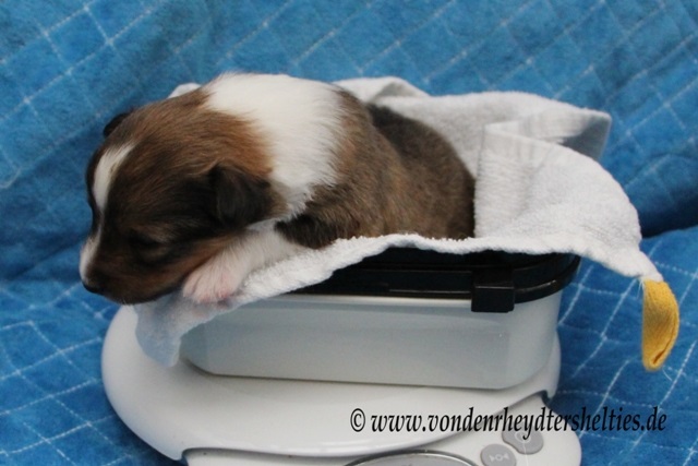 Jetzt habe ich genug. Lat mich doch bitte schlafen. 2 Jetzt habe ich genug. Lat mich doch bitte schlafen. 2