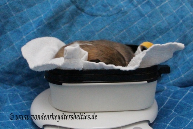 Gute Nacht. 2 Gute Nacht. 2