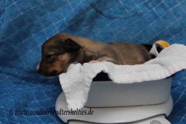 Ich glaube jetzt ist Feierabend