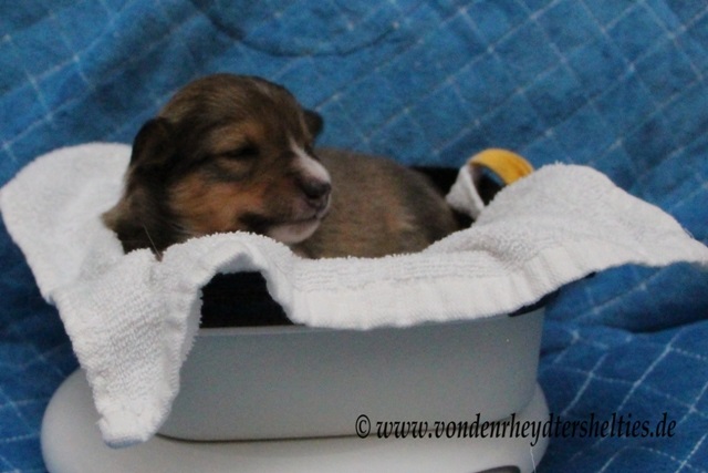 eigentlich bin ich ja mde 2 eigentlich bin ich ja mde 2