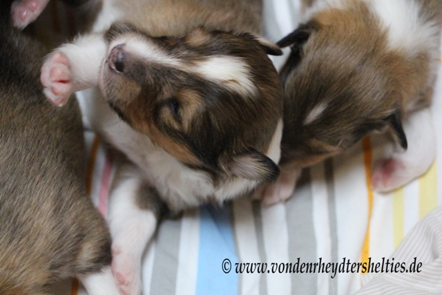 IMG_2613 li A-chen 4 re A-chen 2