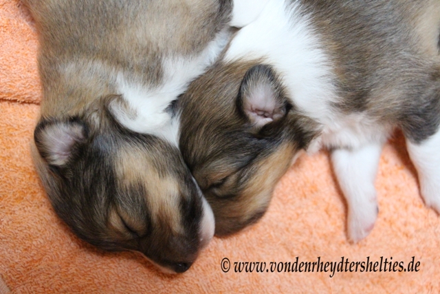 IMG_2931 li A-chen 1 re A-chen 2