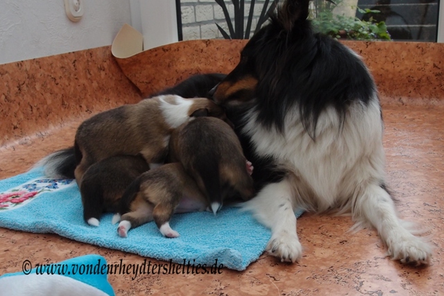 P7060023 erst mal Trinken