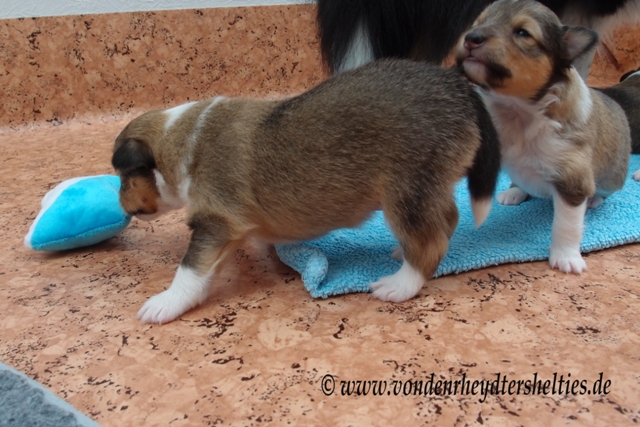 P7060027 Breitseite von A3