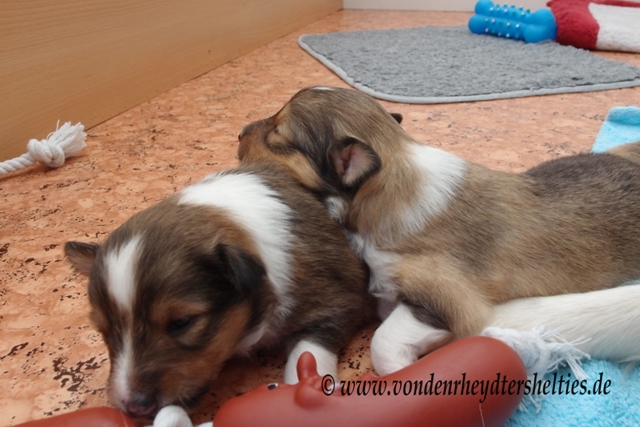 P7060053 li A-chen4 re A-chen 2