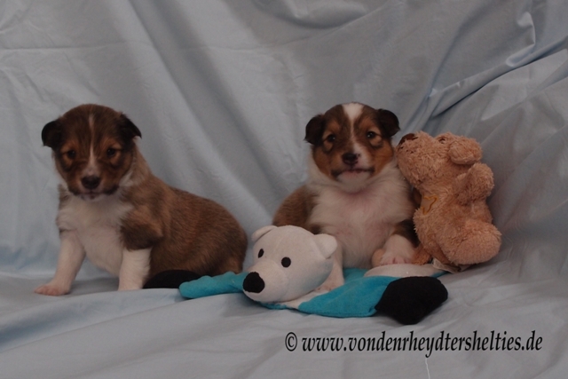 P7080578        li A-chen 1     re A-chen 3