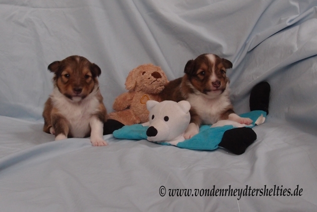 P7080632  A-chen 2 und 4