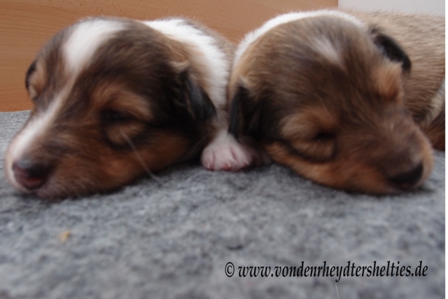 P7080372 li A-chen 4 re A-chen 2