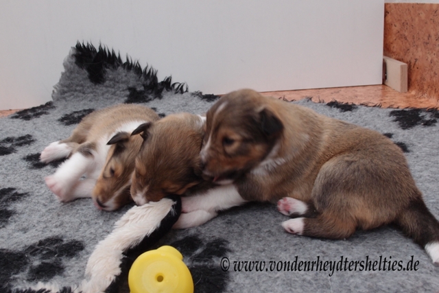 P7080381  li A-chen 3 mitte A-chen 2 re A-chen 1