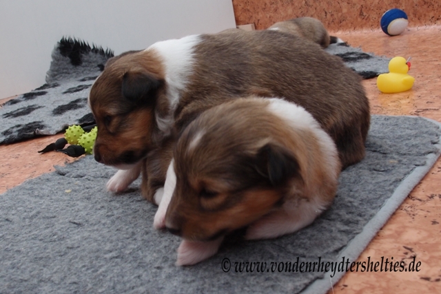 P7080413 A-chen 4 auf A-chen 2