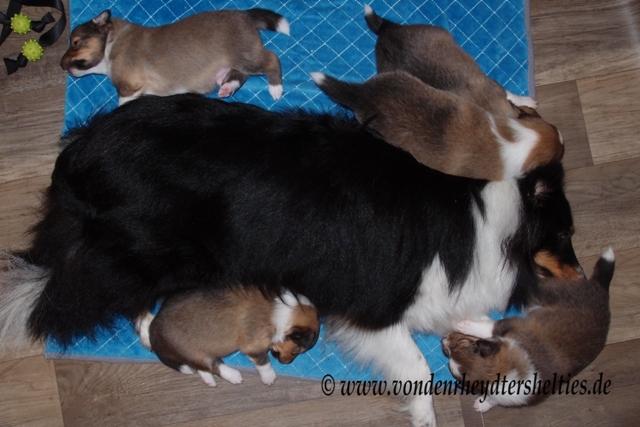 P7080646 eine Verschnauf-pause