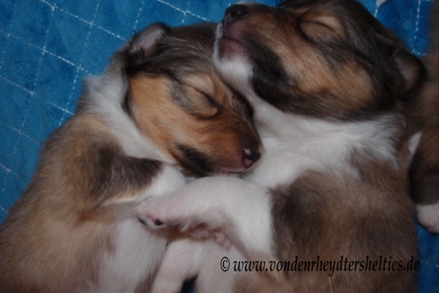 P7080653 li A-chen 4 re A-chen 3