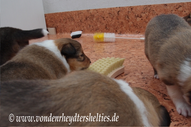 P7090666 und wie schnuppert das hier