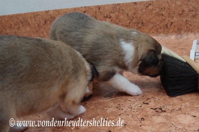 P7090669 ach was Fehlalarm 2 P7090669 ach was Fehlalarm 2