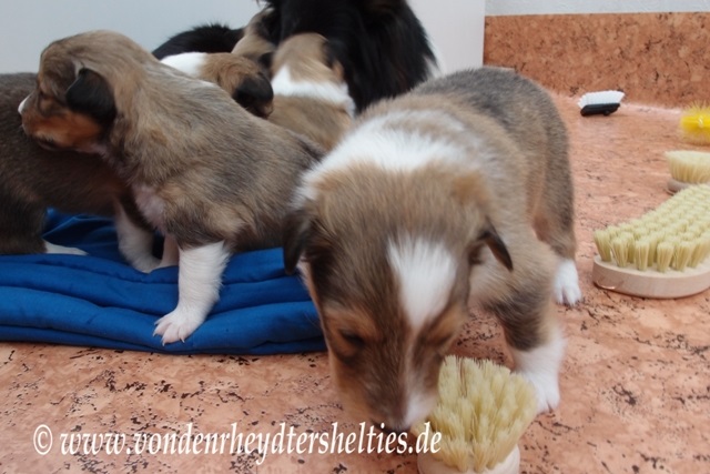 P7090672 DIESES hier auch nicht. Na los 2 P7090672 DIESES hier auch nicht. Na los 2