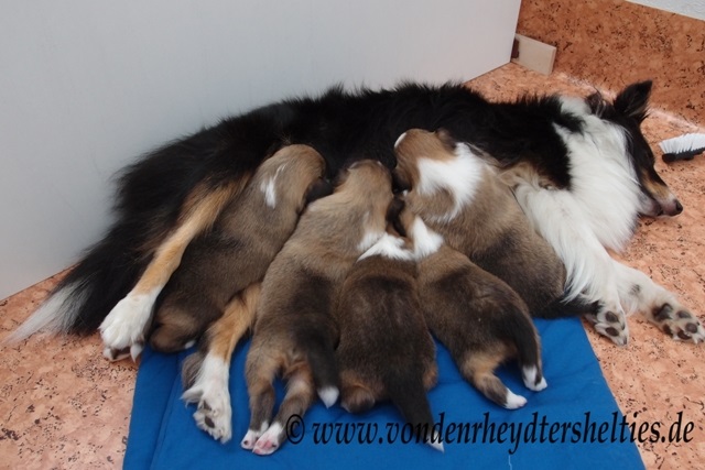 P7090674 Trinkpause. 2 P7090674 Trinkpause. 2