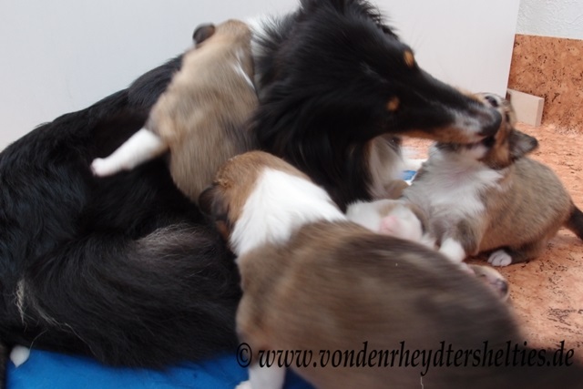 P7090677 Kletterstunde Zahnpflege und 2 P7090677 Kletterstunde Zahnpflege und 2