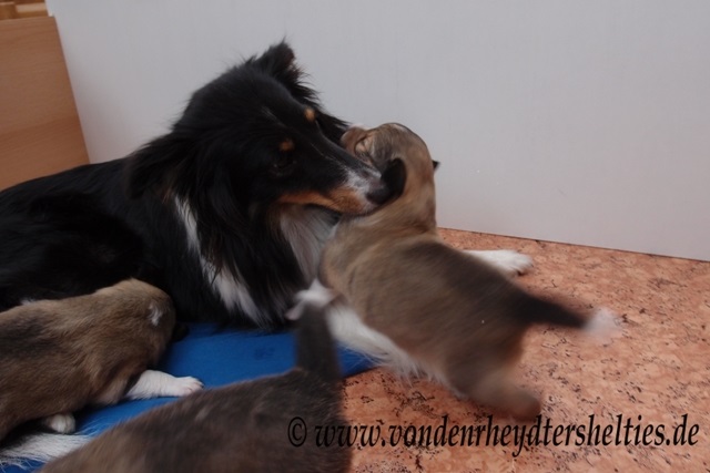 P7090681 Schmusestunde. 2 P7090681 Schmusestunde. 2