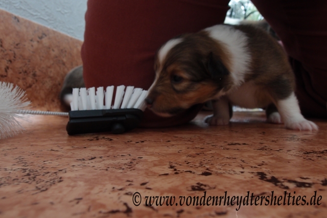 P7090715 Sind Die immer noch da