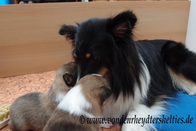 P7090719 Mut holen 2 P7090719 Mut holen 2