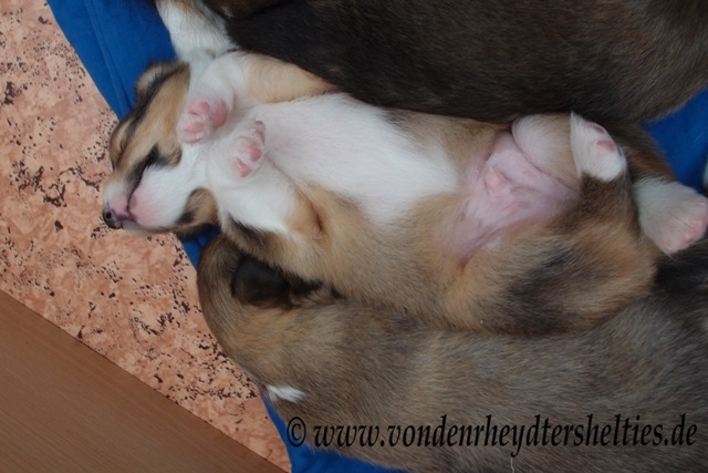 P7090745 ist toll. Gute Nacht. 2 P7090745 ist toll. Gute Nacht. 2