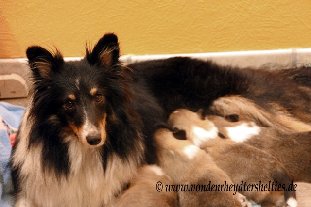 IMG_3142 Erst noch ein Schlckchen2 IMG_3142 Erst noch ein Schlckchen2