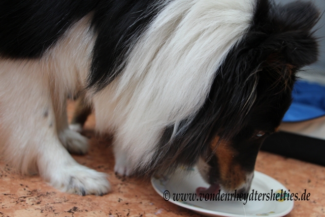 IMG_3243 endlich darf Gulie