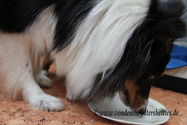 IMG_3244 bis zum letzten Tropfen