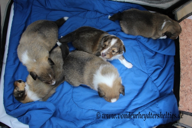 IMG_3268 Was guckst Du