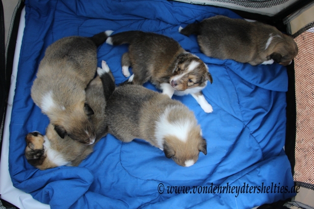 IMG_3269 Guckst Du immer noch