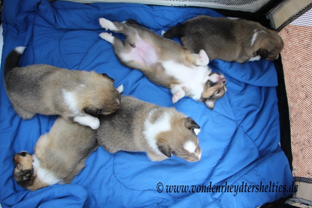 IMG_3270 Wolltest Du das sehen