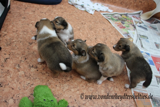 IMG_3498 A-chen 34251