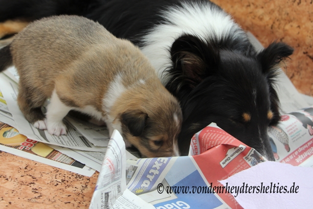 IMG_3586 Mama  Sohn A-chen 1