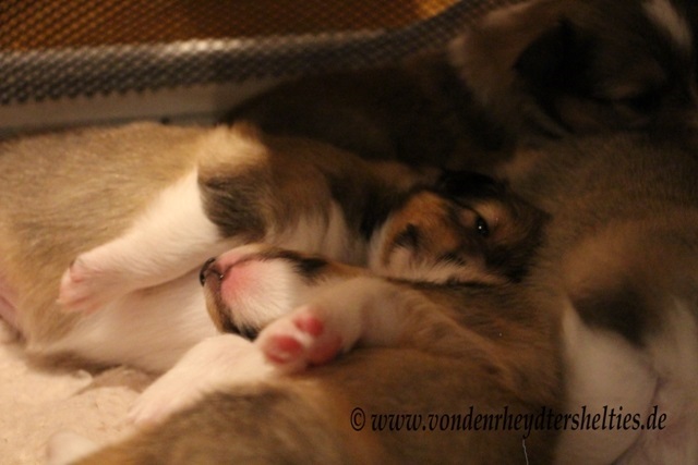 IMG_3627 Ne ne. Ich bin noch nicht wach IMG_3627 Ne ne. Ich bin noch nicht wach