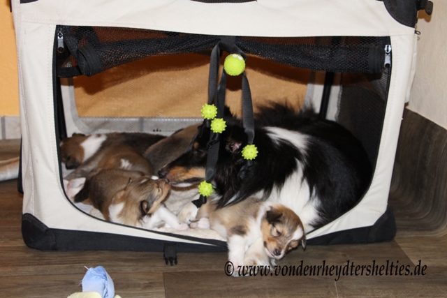 IMG_3638 Ahhhhh Frhstck