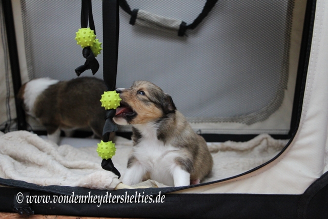 IMG_3701 Na gut ihr habt gewonnen