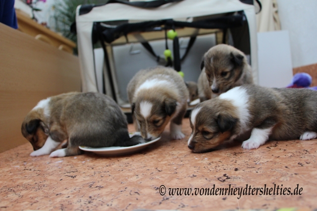 IMG_3810 A-chen 2314