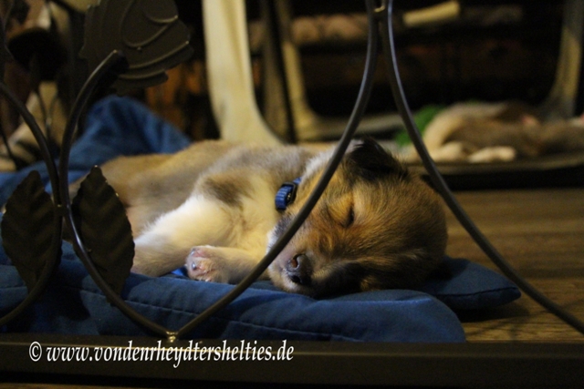 IMG_4179  ohne Worte