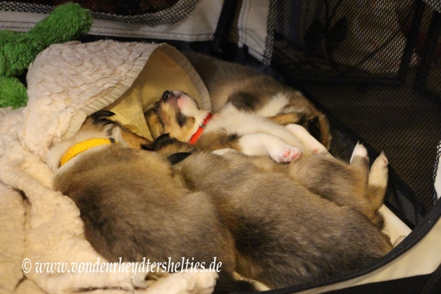 IMG_4183 Die 3 Grazien