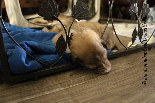 IMG_4189 Ich wollte doch nur raus 