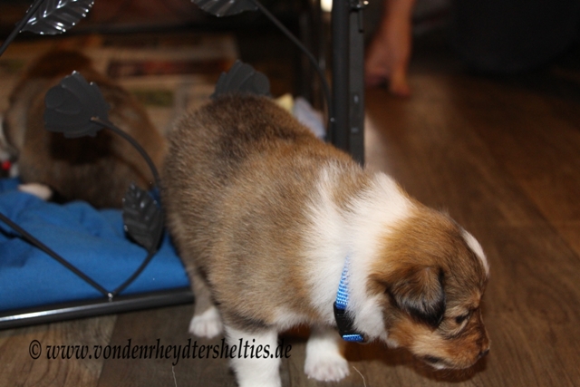 IMG_4201 Hey geschafft - Ich bin der Ausbrecherkoenig