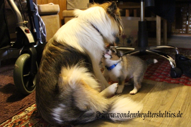 IMG_4211 Ja wir sind Freunde