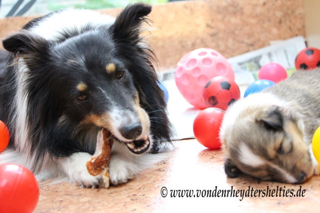 IMG_4721 So laesst ist Mama sein super toll