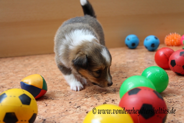 IMG_4755 A-chen 4 mmmmh anderer Weg zum Ziel