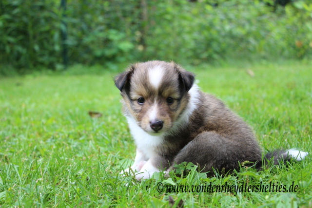 IMG_7134 Was guckst Du