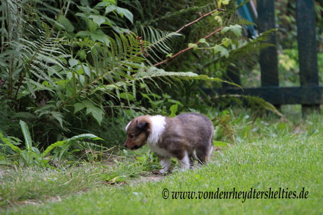 IMG_7194 So eine groe grne Welt