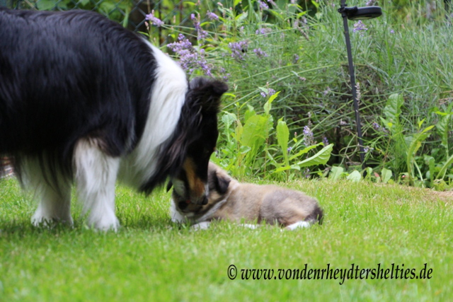 IMG_7246 Mama ich muss Dir noch was erzaehlen