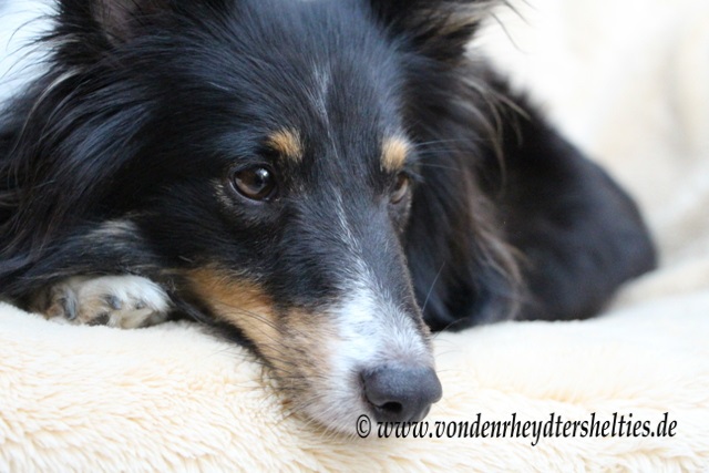 13 Ich will auch mal Photos