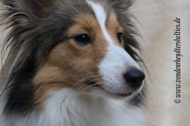 15  und Babysitterin